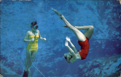 Weeki wachee primavera - weeki, delle